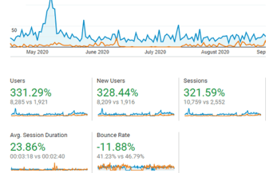 A Mano Florals 331% improvement in website traffic due to SEO improvements